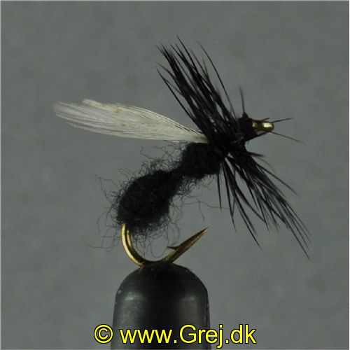 DRY0124 - Flying Ant - Str.14<br>