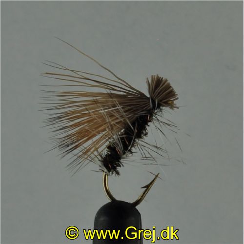 DRY0134 - Elkhair Caddis - Str.10<br>