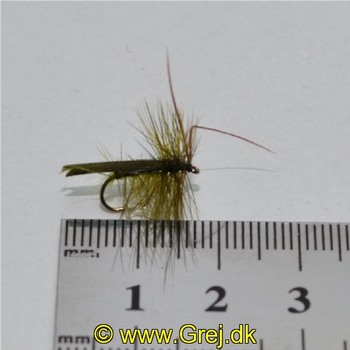 DRY0141 - Horned Sedge - Str.12<br>