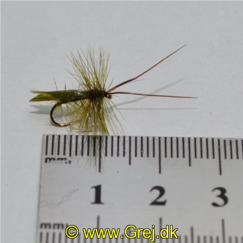 DRY0142 - Horned Sedge - Str.14<br>
