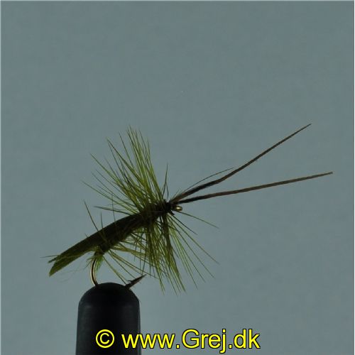 DRY0142 - Horned Sedge - Str.14<br>