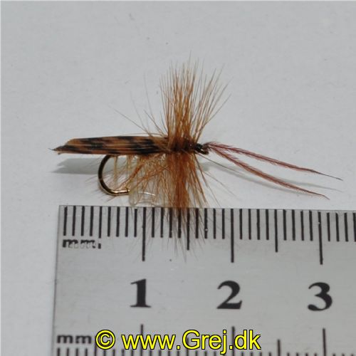 DRY0151 - Horned Sedge - Str.12<br>