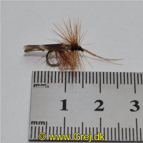 DRY0152 - Horned Sedge - Str.14<br>