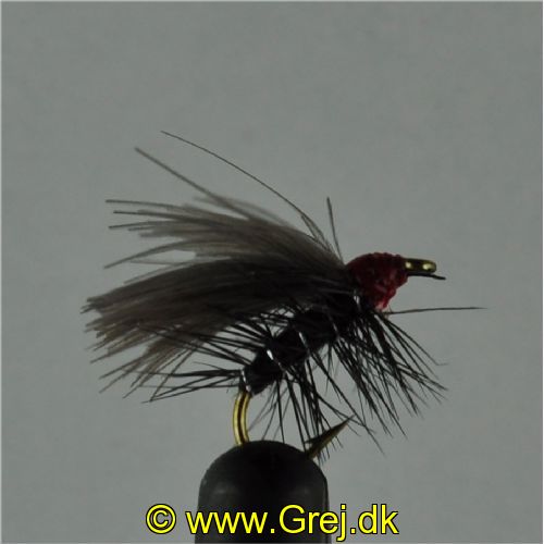 DRY0154 - Red Head Black Sedge - Str.14<br>