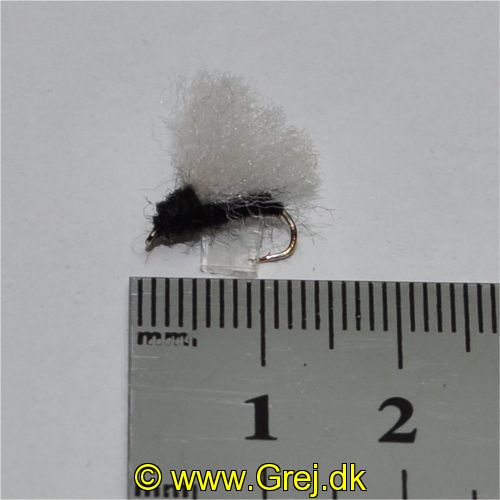 DRY0164 - Rackelhane - Str.14<br>