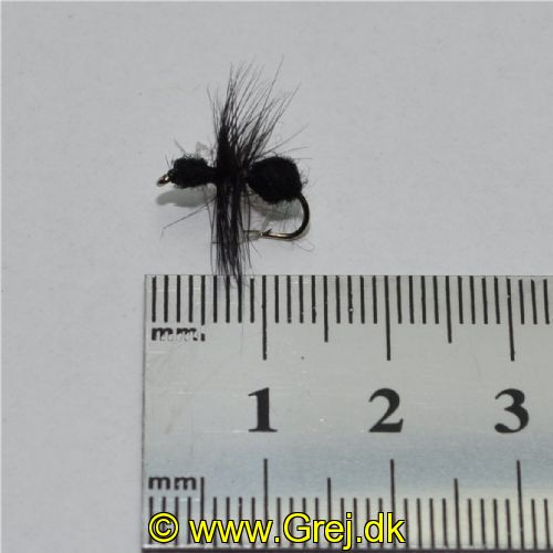DRY0211 - Black Ant Hackle - Str.12<br>