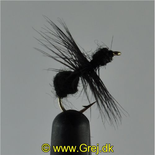 DRY0211 - Black Ant Hackle - Str.12<br>