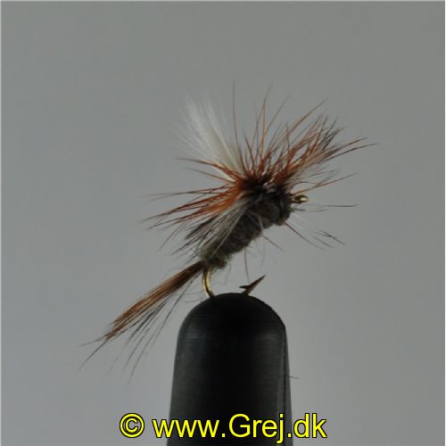 DRY0221 - Adams Parashute - Str.18<br>