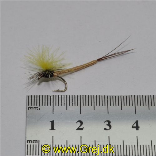 DRY1234 - CDC Mayfly - Str.12<br>