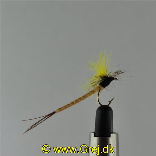 DRY1234 - CDC Mayfly - Str.12<br>