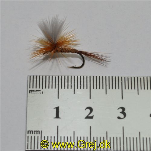 DRY1264 - Parashute Red Quill - Str12.<br>