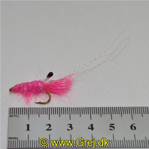 DWS0173 - DF Shrimp - Str6.<br>