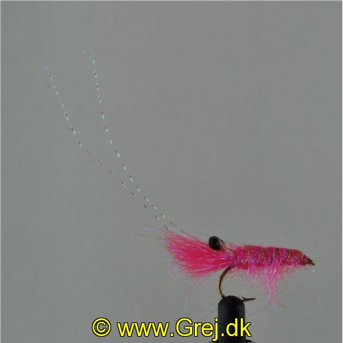 DWS0173 - DF Shrimp - Str6.<br>