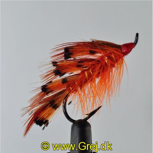 EL0213 - General Pract. Single - Str.4<br>