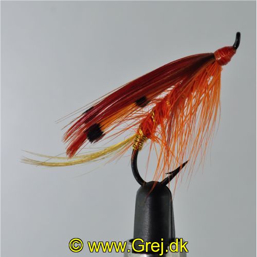 EL0214 - General Pract. Single - Str.6<br>