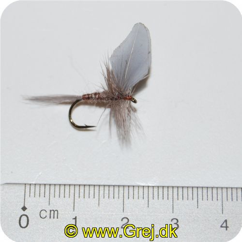 FL43013 - Tørflue FL43013 Siphonurus Alternatus-Dun Unique Flies 