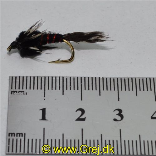 FLY0513 - Black Martinez  - Str.8<br>