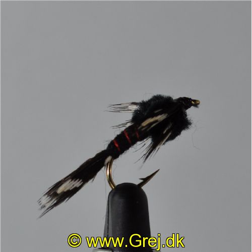 FLY0513 - Black Martinez  - Str.8<br>