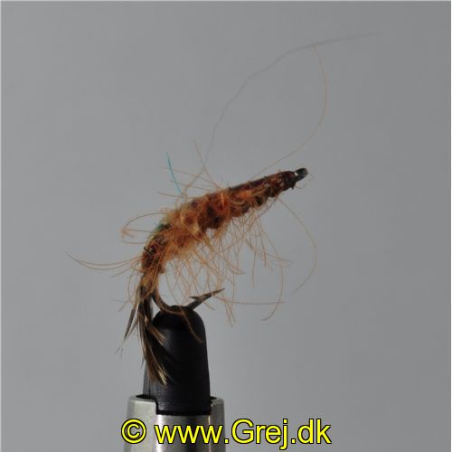 FLY0613 - Loppen Flashback - Str.6<br>