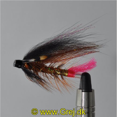 FLY1034 - Tempel Dog Original j.c. 40mm<br>