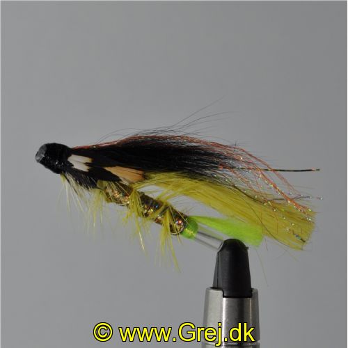 FLY1043 - Original Tempeldog Black Yellow j.c 35mm<br>