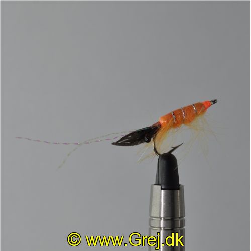 FLY1313 - Cdc Shrimp Slw - Str.6<br>