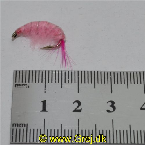 FLY1324 - Gammarus - Str.8<br>