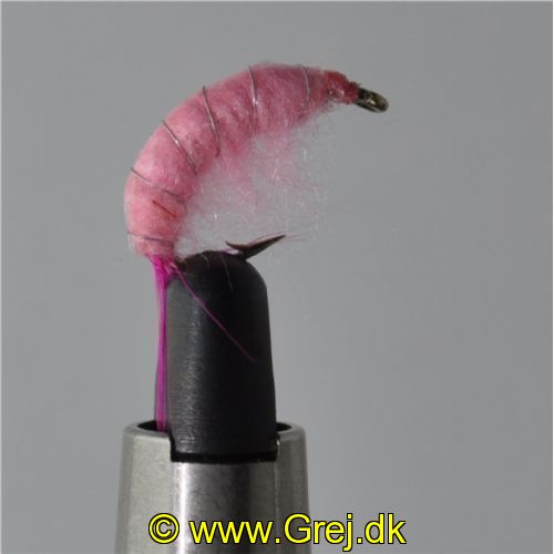 FLY1324 - Gammarus - Str.8<br>