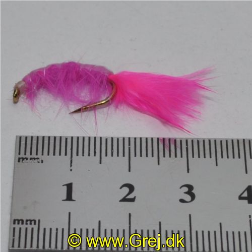 FLY1333 - Gammarus - Str.6<br>