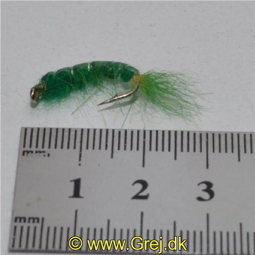 FLY1334 - Gammarus - Str.6<br>