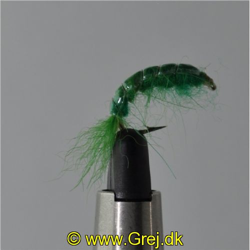 FLY1334 - Gammarus - Str.6<br>