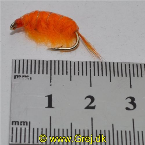 FLY1342 - Gammarus - Str.6<br>