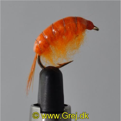 FLY1342 - Gammarus - Str.6<br>