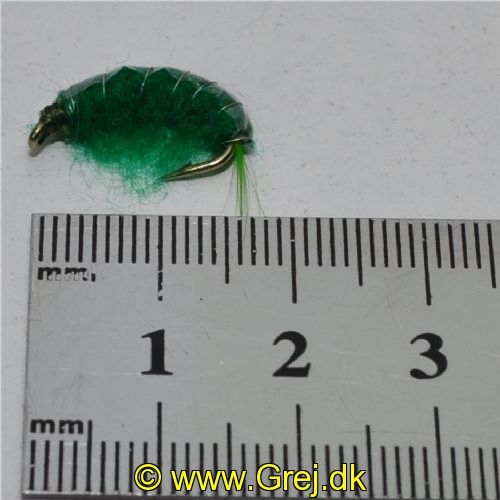 FLY1352 - Gammarus - Str.8<br>
