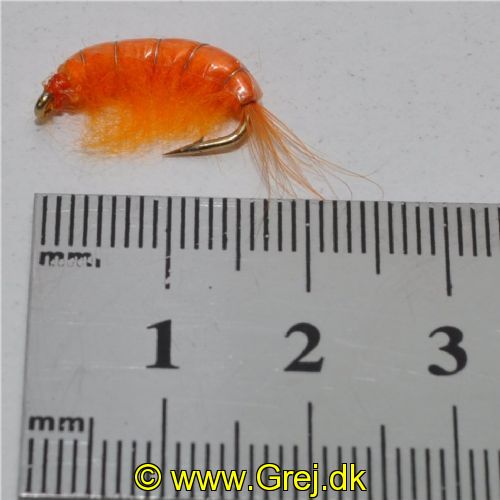 FLY1354 - Gammarus - Str.8<br>
