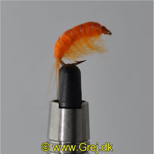 FLY1354 - Gammarus - Str.8<br>