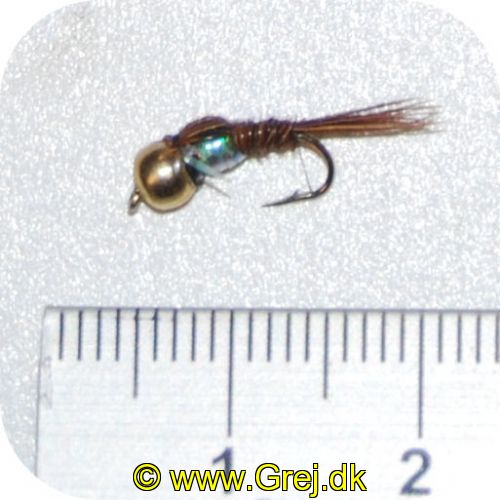 GU0011 - Enkeltkrog - Str. 14 - brun / blå krop - goldhead - og brun hale
