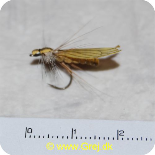 JS012 - Caddis Adult 2 Saff Gold