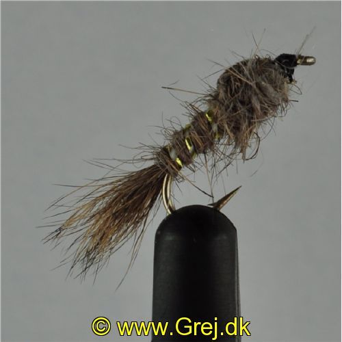NY0131 - GR-hares-ear-ny - Str.12<br>