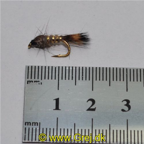 NY0132 - GR-hares-ear-ny - Str.14<br>