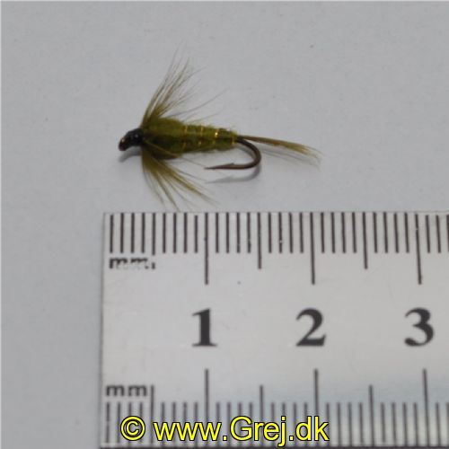 NY0163 - Olive ny - Str.12<br>