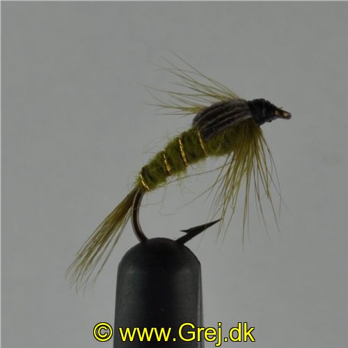 NY0163 - Olive ny - Str.12<br>