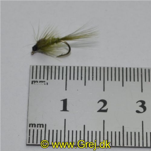 NY0164 - Olive ny - Str.14<br>