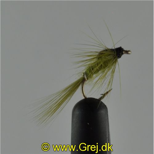 NY0164 - Olive ny - Str.14<br>