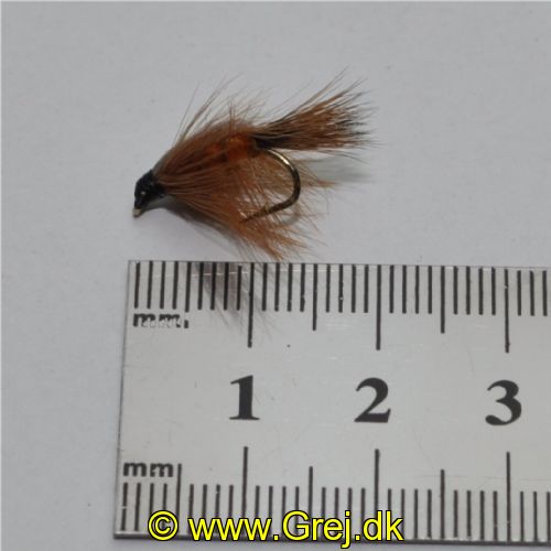 NY0211 - Freshwater Shrimp Orange - Str.12<br>