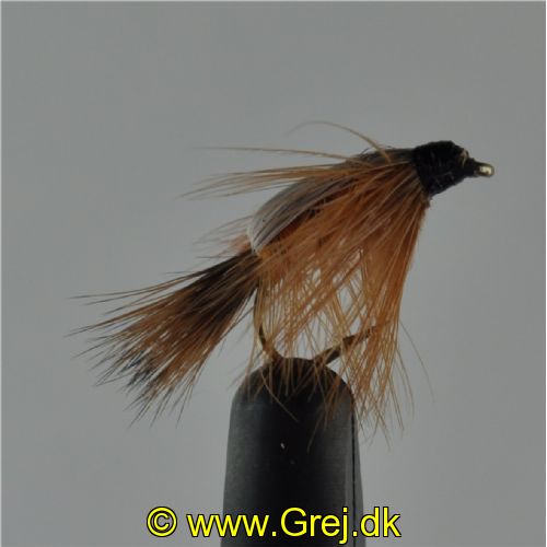 NY0211 - Freshwater Shrimp Orange - Str.12<br>