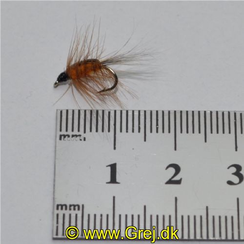 NY0212 - Freshwater Shrimp Orange - Str.14<br>