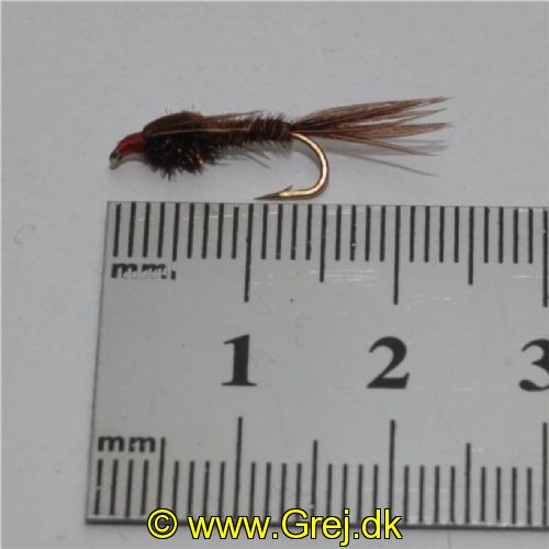 NY0223 - Pheasant tail Ny - Str.12<br>