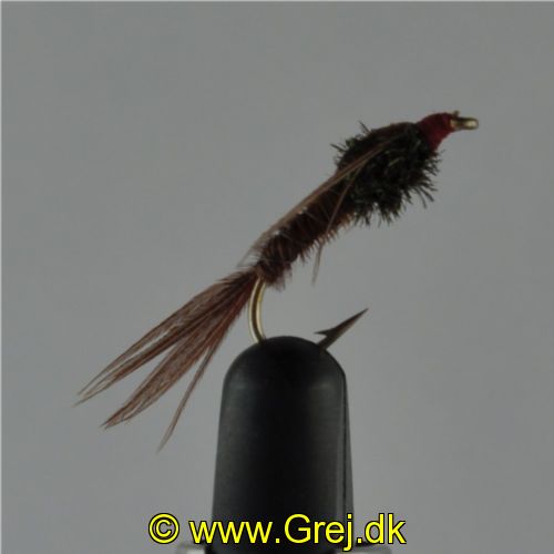 NY0223 - Pheasant tail Ny - Str.12<br>