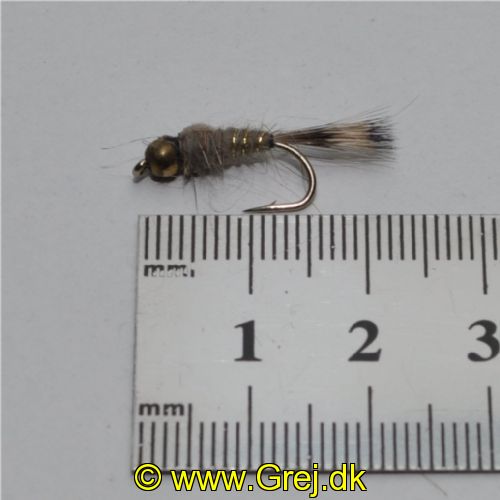 NY0254 - G/H Hares Ear - Str.18<br>